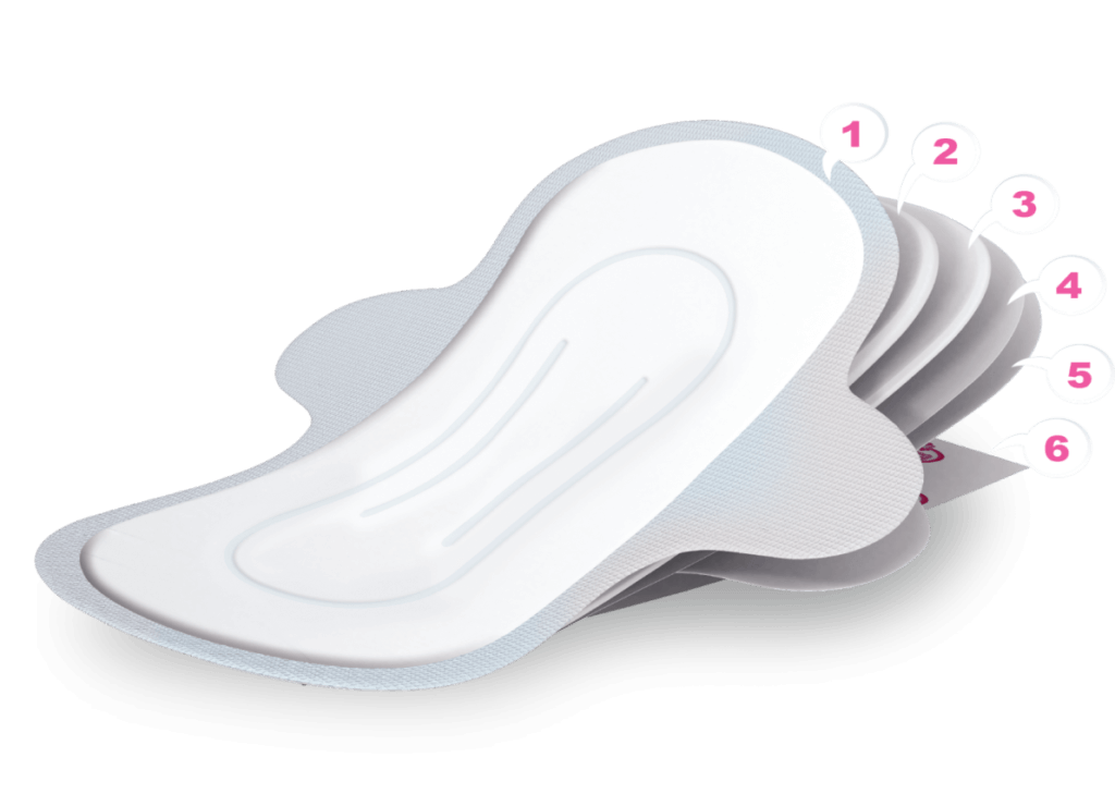 Aarya Sanitary Napkin Dream Life Science (Pvt) Ltd. Cosmetics